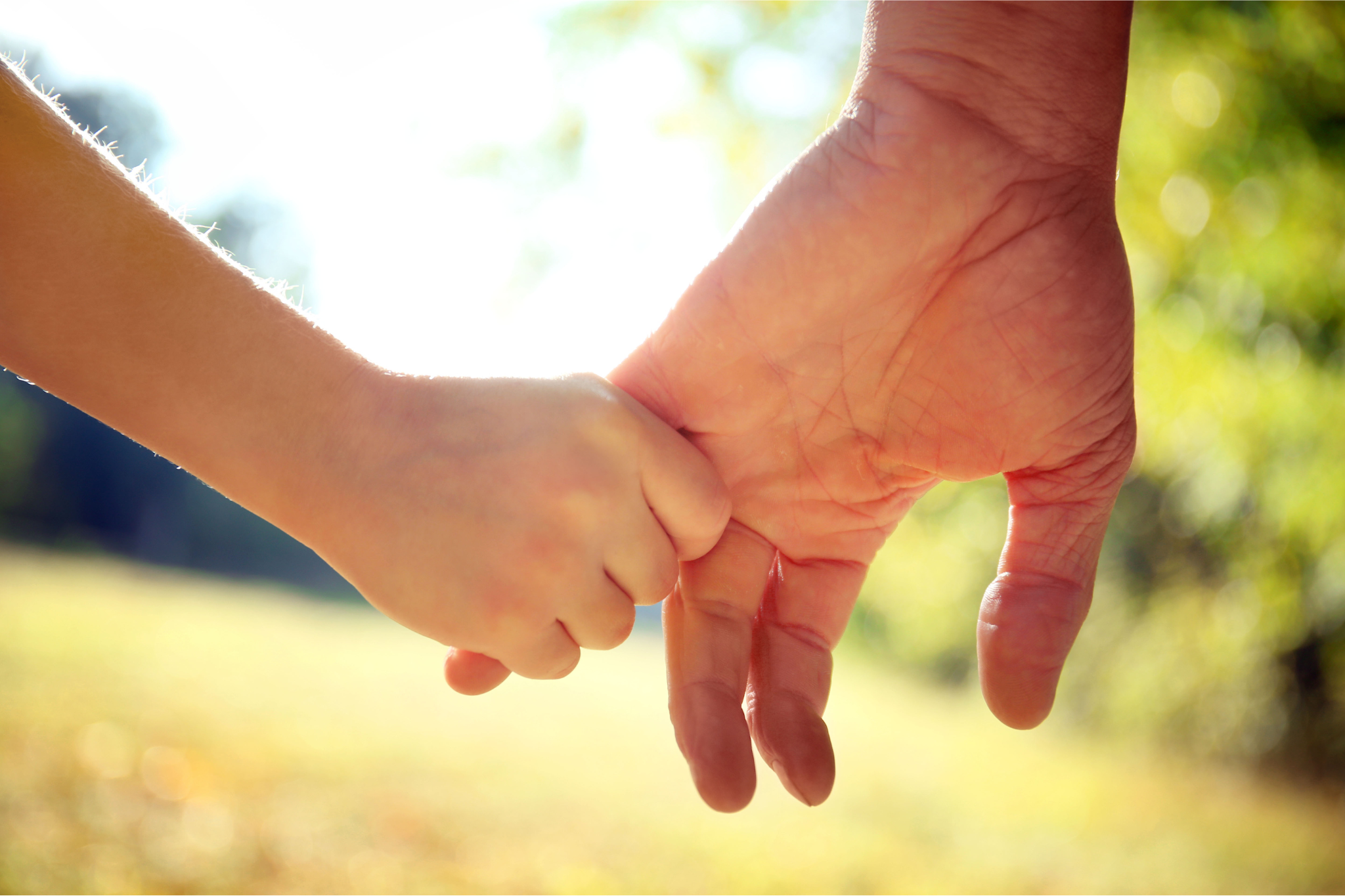 A child's hand holding the little finger of an adult hand.