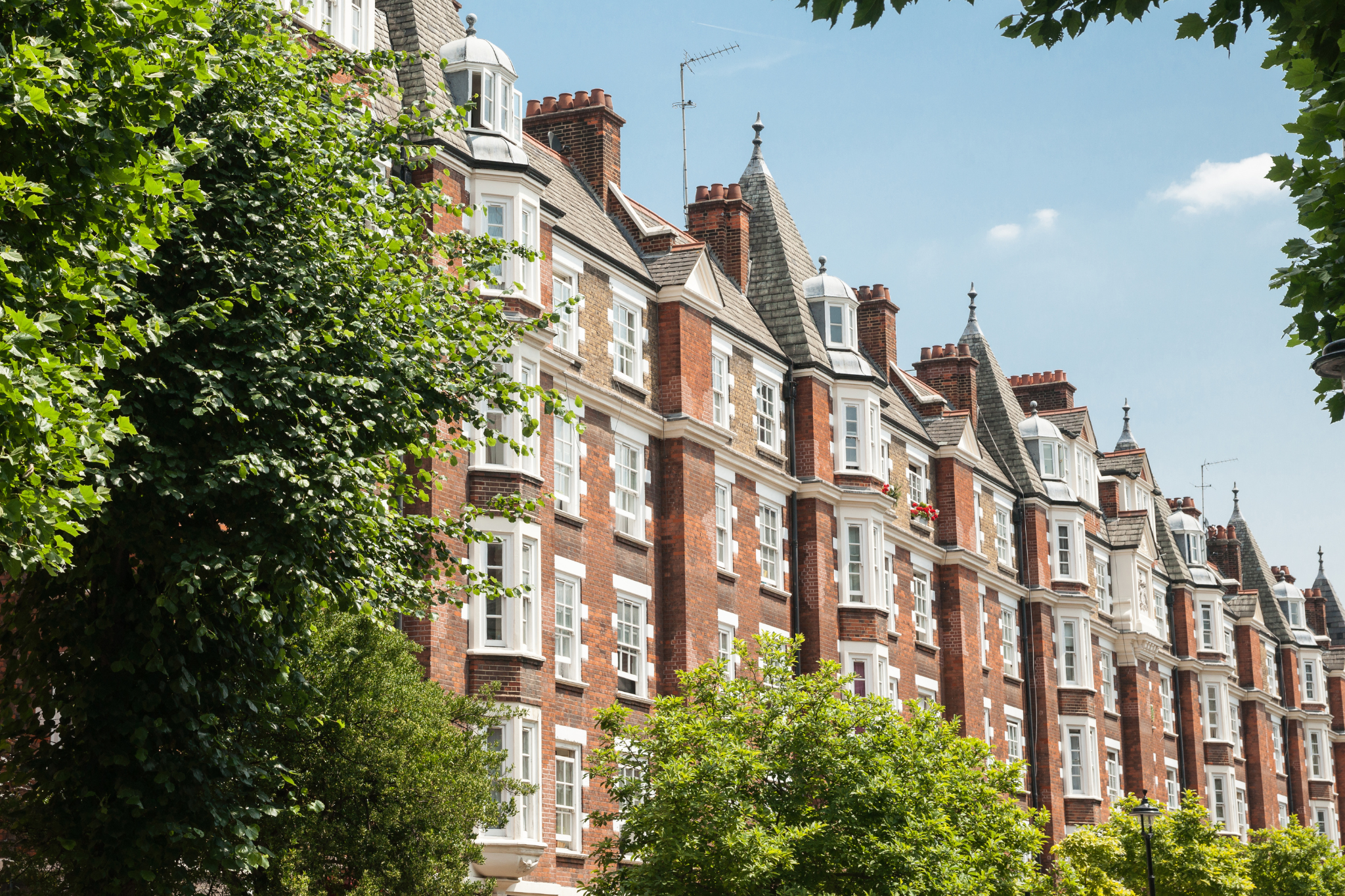 A block of flats with some shrubbery around the frame.